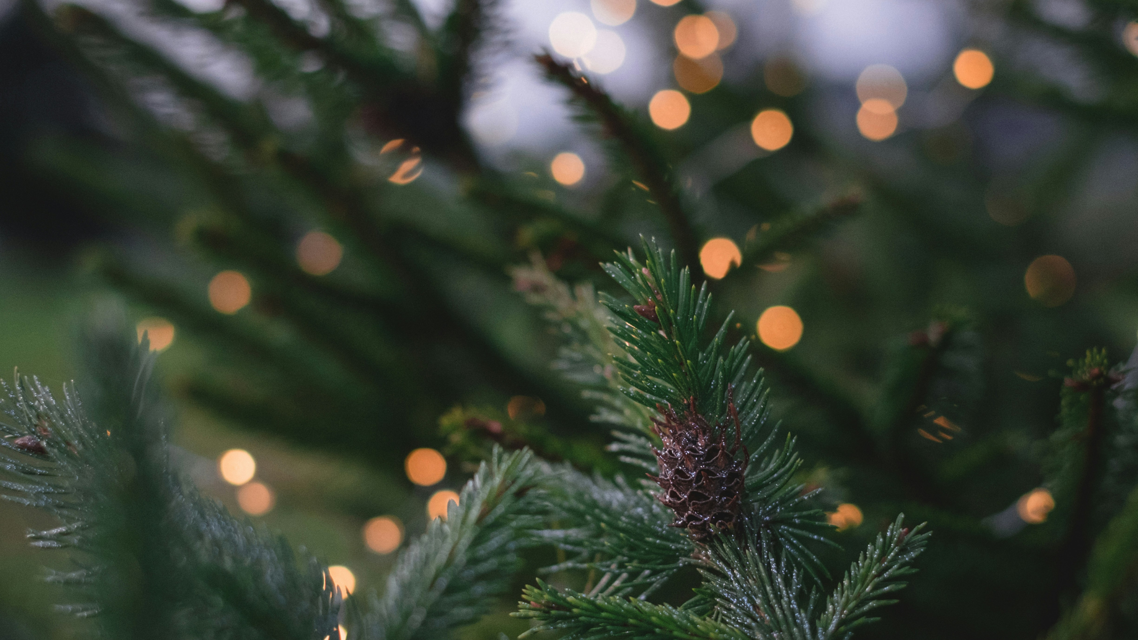 Cómo reducir el estrés y encontrar la calma durante las Navidades