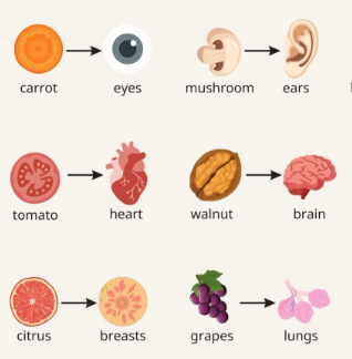 alimentos-que-se-parecen-a-los-que-curan