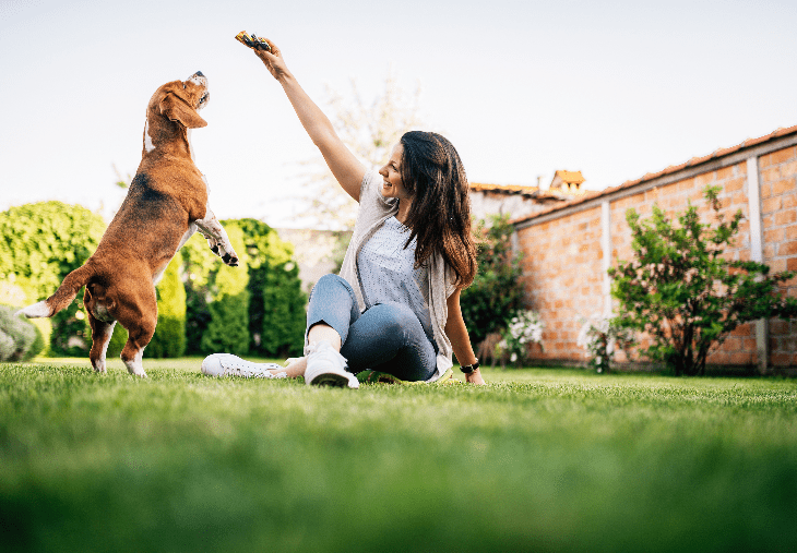 Mujer jugando con perro al aire libre